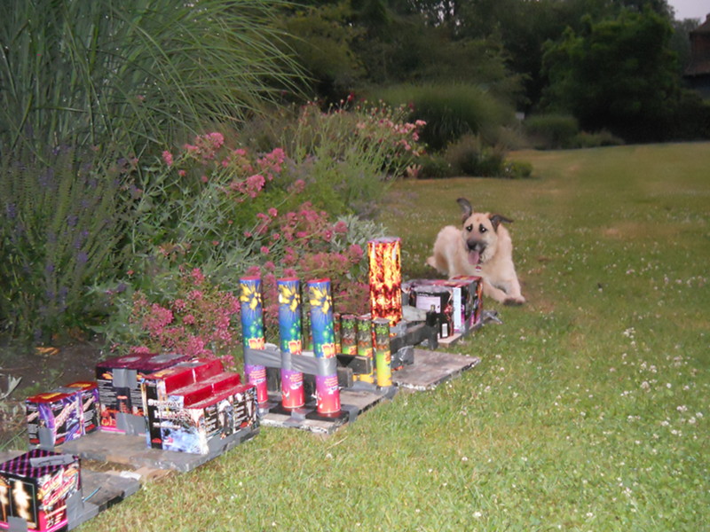 Feuerwerk auf Wiese in Essen-Steele am Stadtgarten